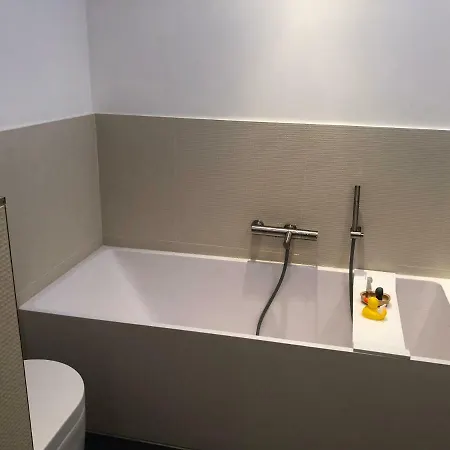 Prázdninový dům Goudkust 8